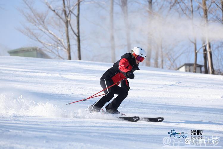 魏维解析大众单板滑雪四级技术重点 魏维解析大众单板滑雪四级技术重点